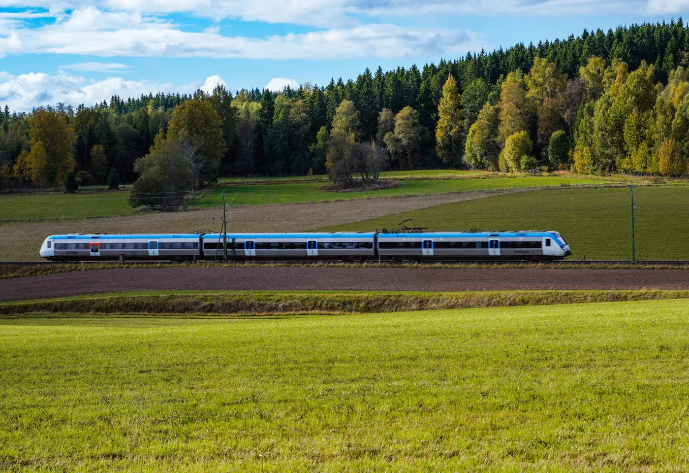 Passenger train crossing green farmland next to a forest
